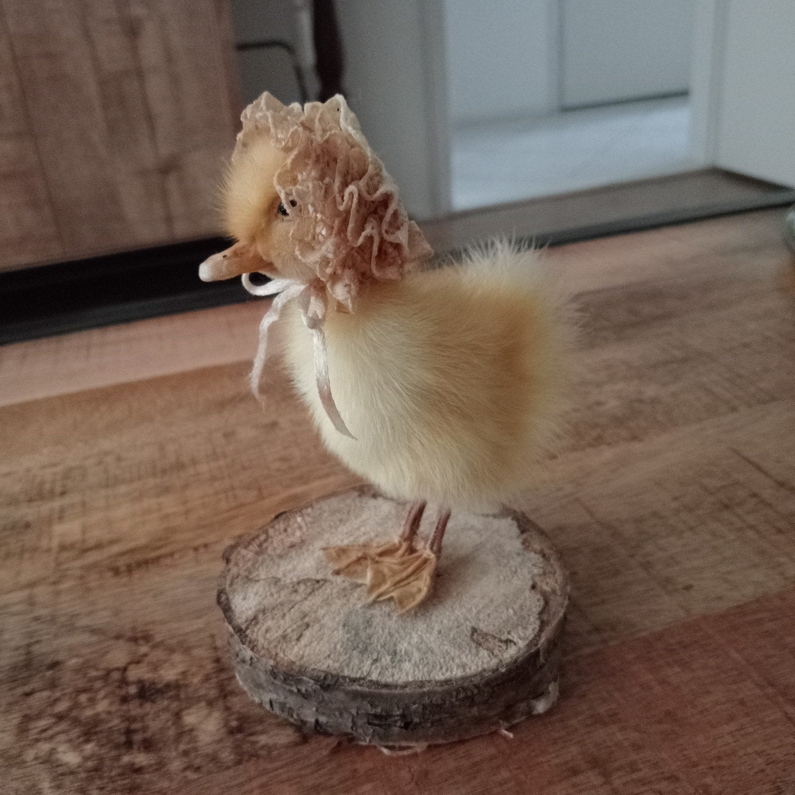 Schattig opgezette kuikentje met mutsje, Ophalen of Verzenden, Vogel, Opgezet dier