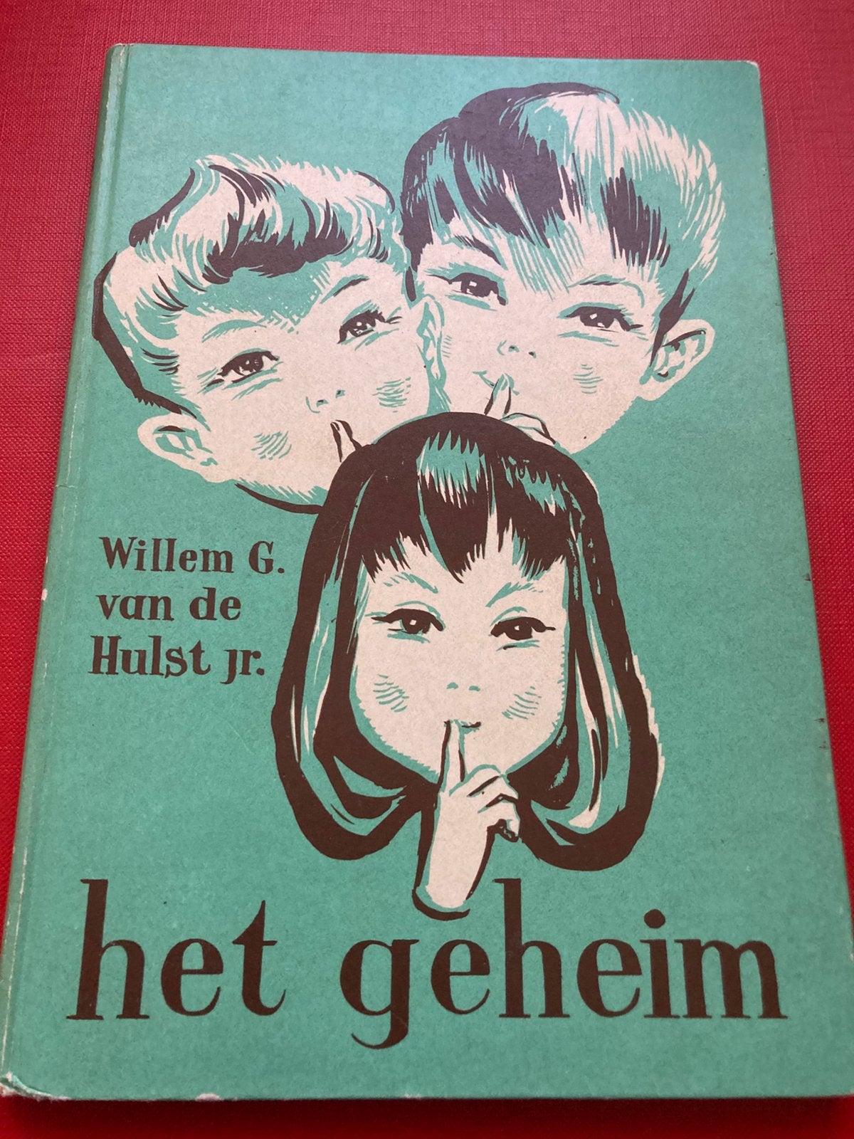 Het geheim, Boeken, Ophalen of Verzenden, Gelezen, Fictie algemeen