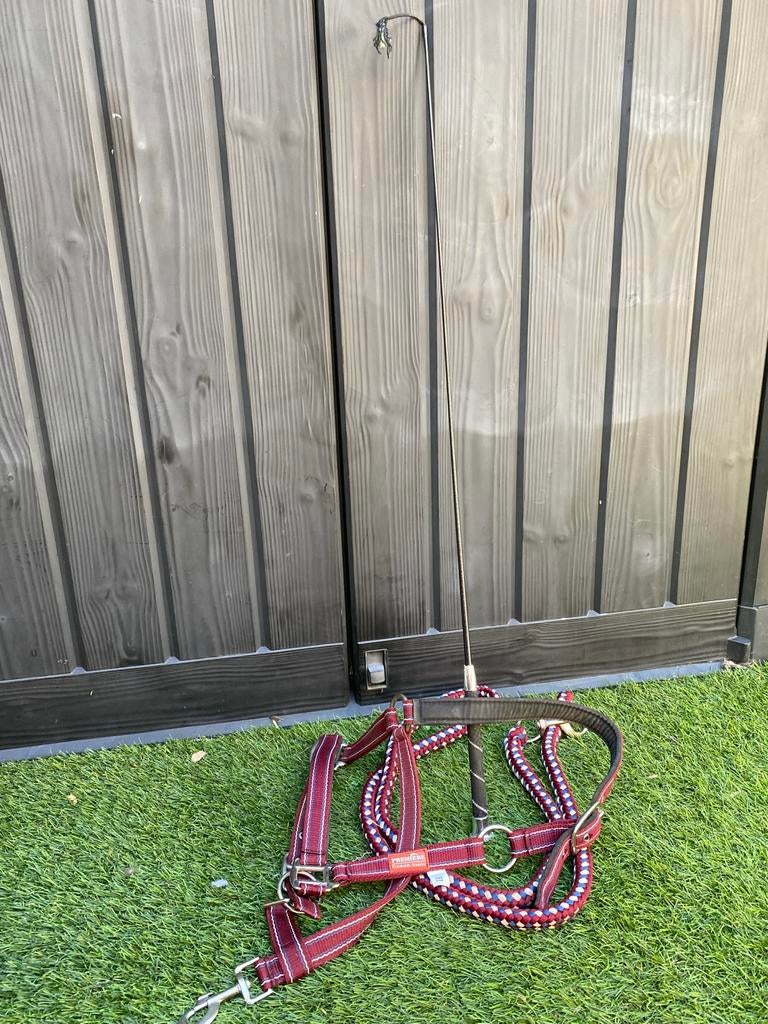 Halster + zweep, Dieren en Toebehoren, Paarden en Pony's | Overige Paardenspullen, Ophalen of Verzenden, Zo goed als nieuw, Overige soorten