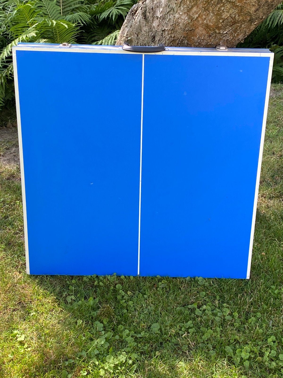 Te koop tafeltennis tafel, Ophalen, Gebruikt, Inklapbaar
