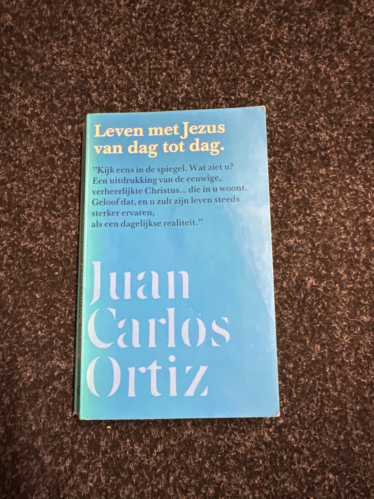 Leven met Jezus van dag tot dag - Juan Carlos Ortiz, Ophalen of Verzenden, Zo goed als nieuw, Christendom | Katholiek
