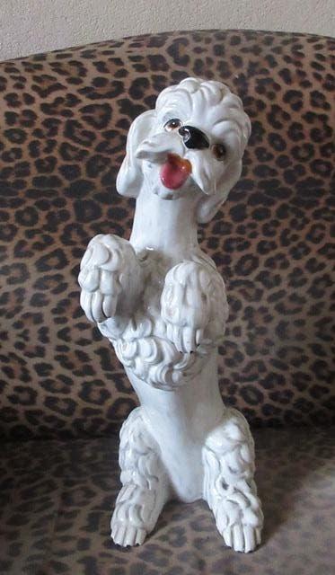 Poedel Italy aardewerk beeld hond Italie wit woonwagen stijl, Ophalen, Zoogdier, 20 - 50 cm, Beeld