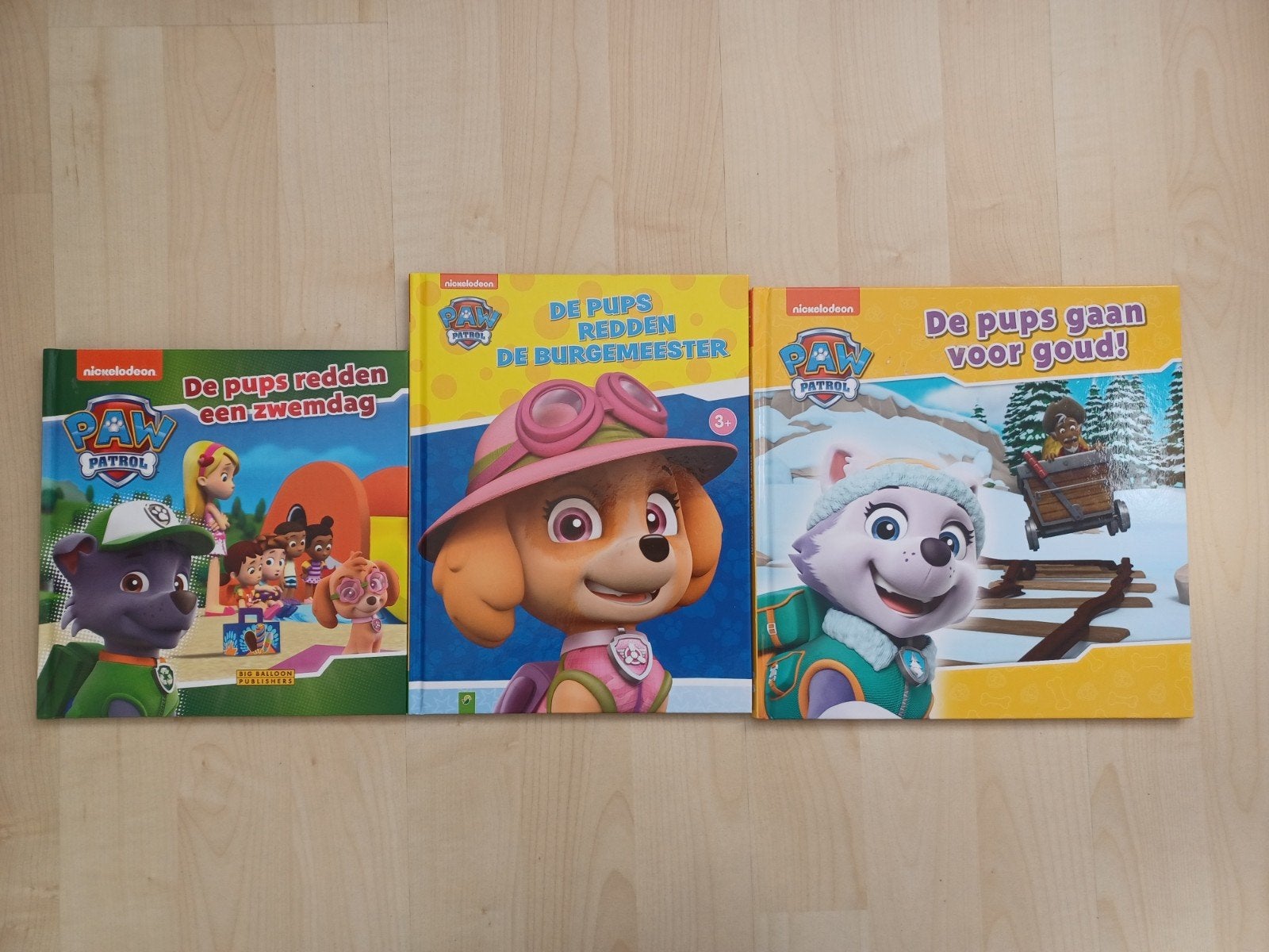 Paw Patrol boeken, Ophalen of Verzenden, Zo goed als nieuw