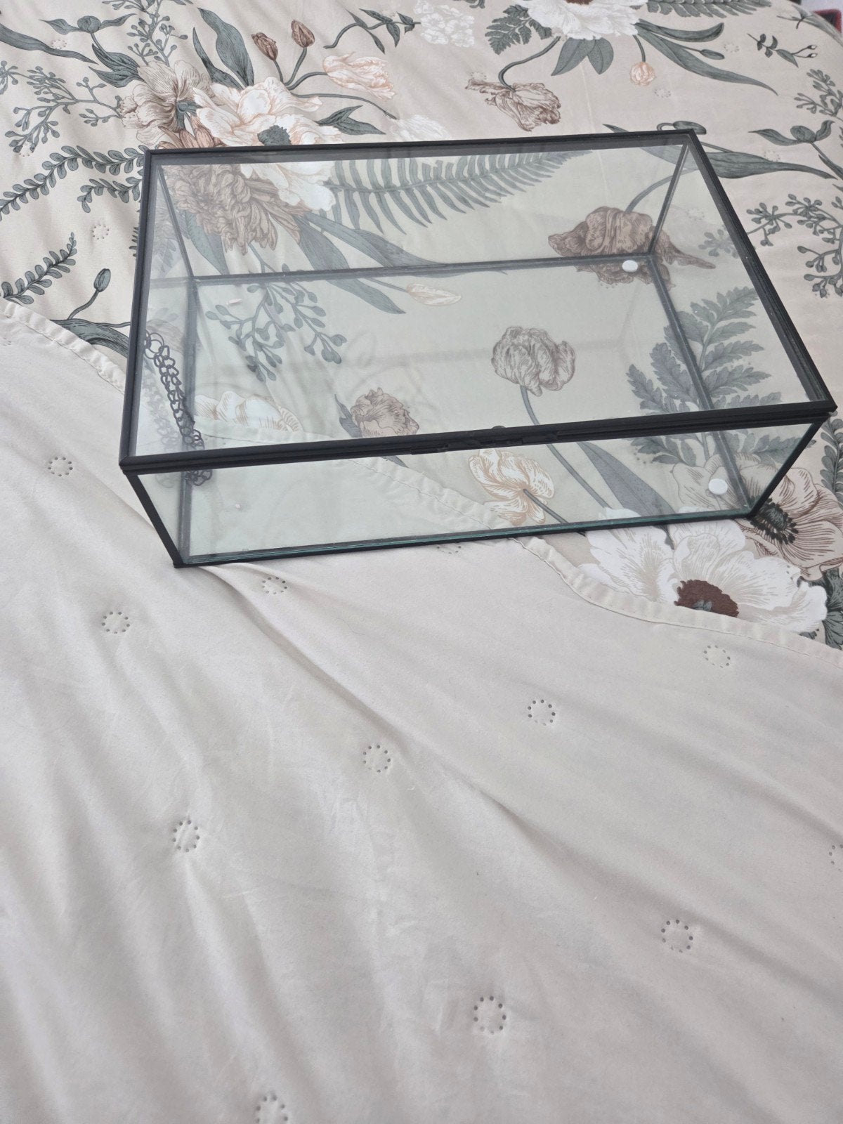 Glazen kistje van Wehkamp - Decoratief en veelzijdig, Ophalen, Zwart, Zo goed als nieuw, Modern