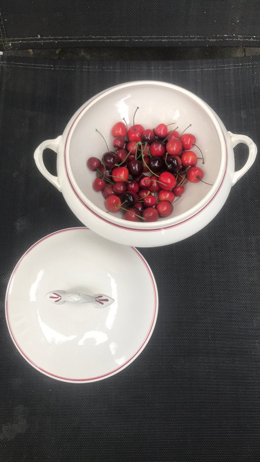 Oude Boch terrine creme met rood randje, Ophalen of Verzenden