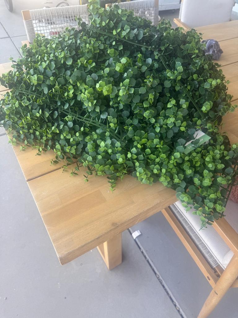 Wandbekleding kunstgroen, Ophalen of Verzenden, Volle zon, Overige soorten, 100 tot 250 cm