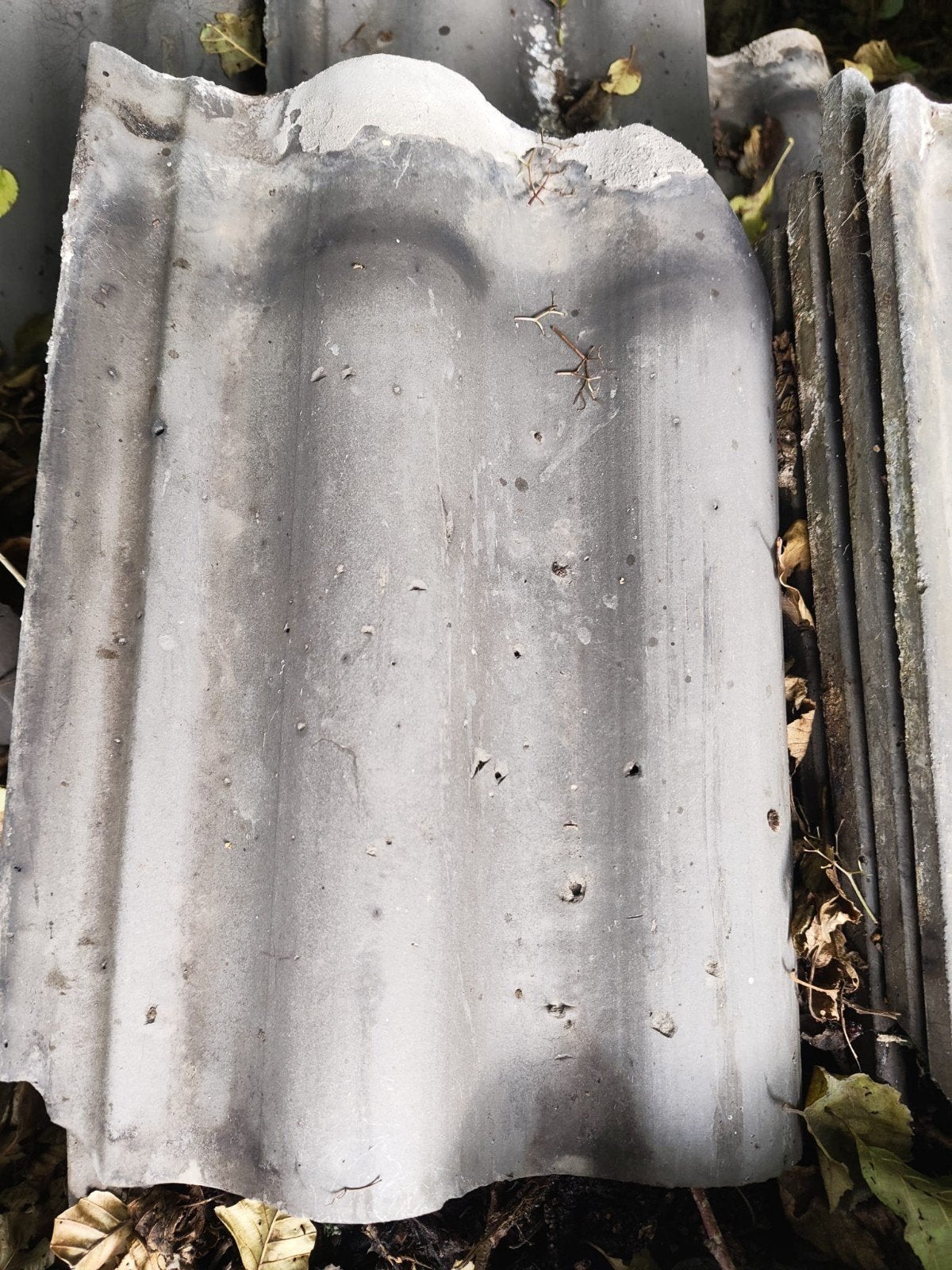 dakpannen, oude Friese golfjes, Ophalen of Verzenden, Gebruikt