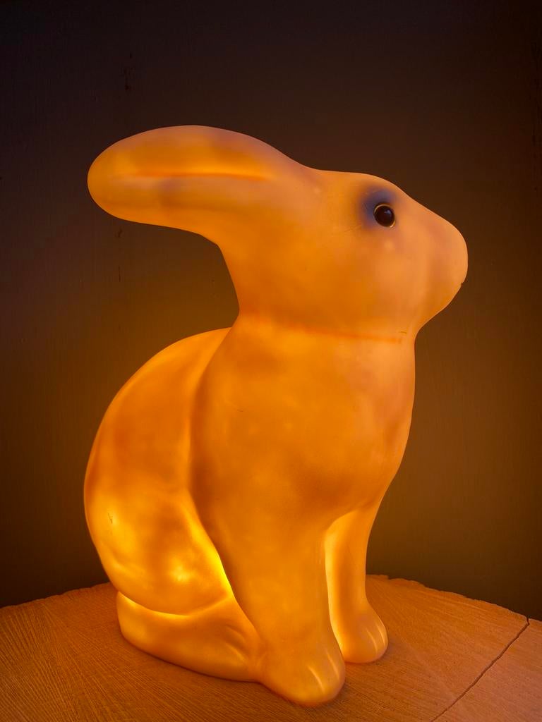 Heico - Konijnenlamp!, Ophalen of Verzenden, Zo goed als nieuw, Kunststof, Minder dan 50 cm