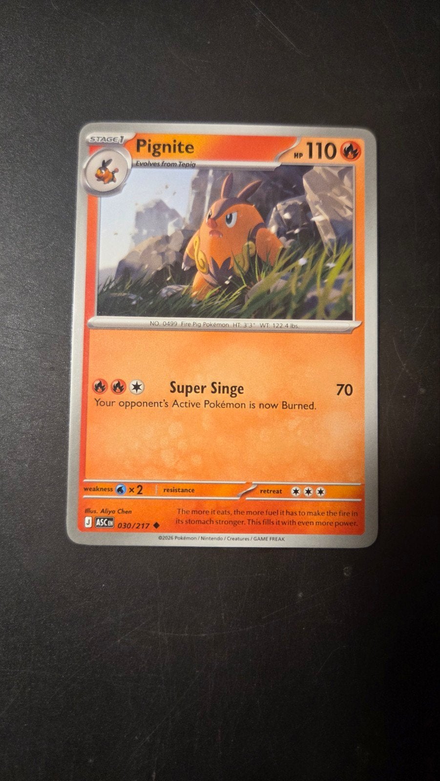 Pignite 030/217 - Ascended Heroes Pokémon Kaart, Verzenden, Zo goed als nieuw, Losse kaart