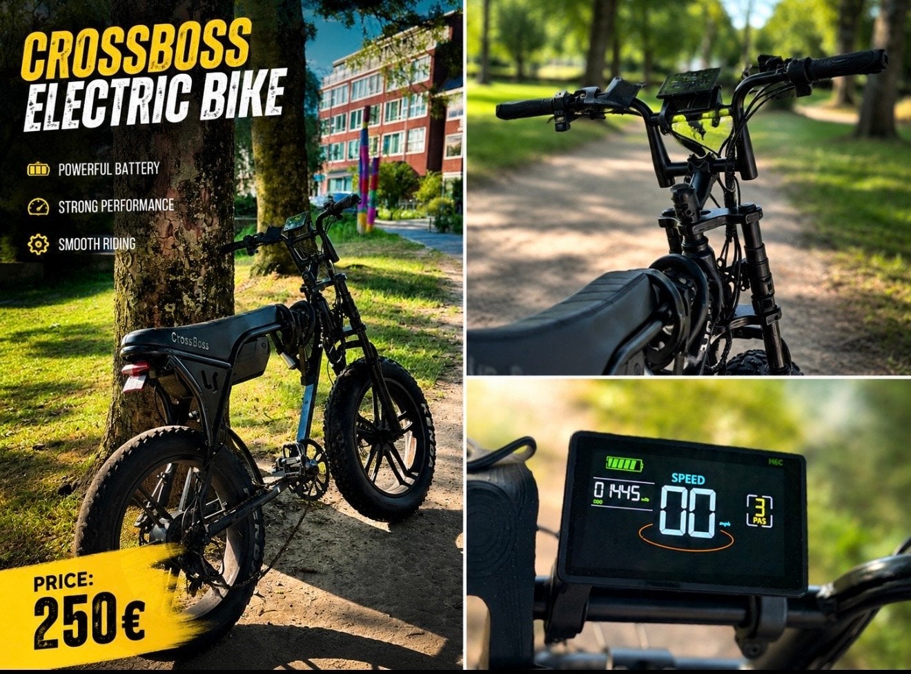 Krachtige elektrische fiets (50 km/u) met gebreken, Ophalen of Verzenden, Gebruikt, Overige merken