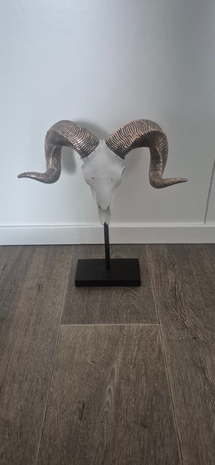 Ramsschedel op standaard, Huis en Inrichting, Meerkleurig, Kunststof, Ophalen of Verzenden, Zo goed als nieuw