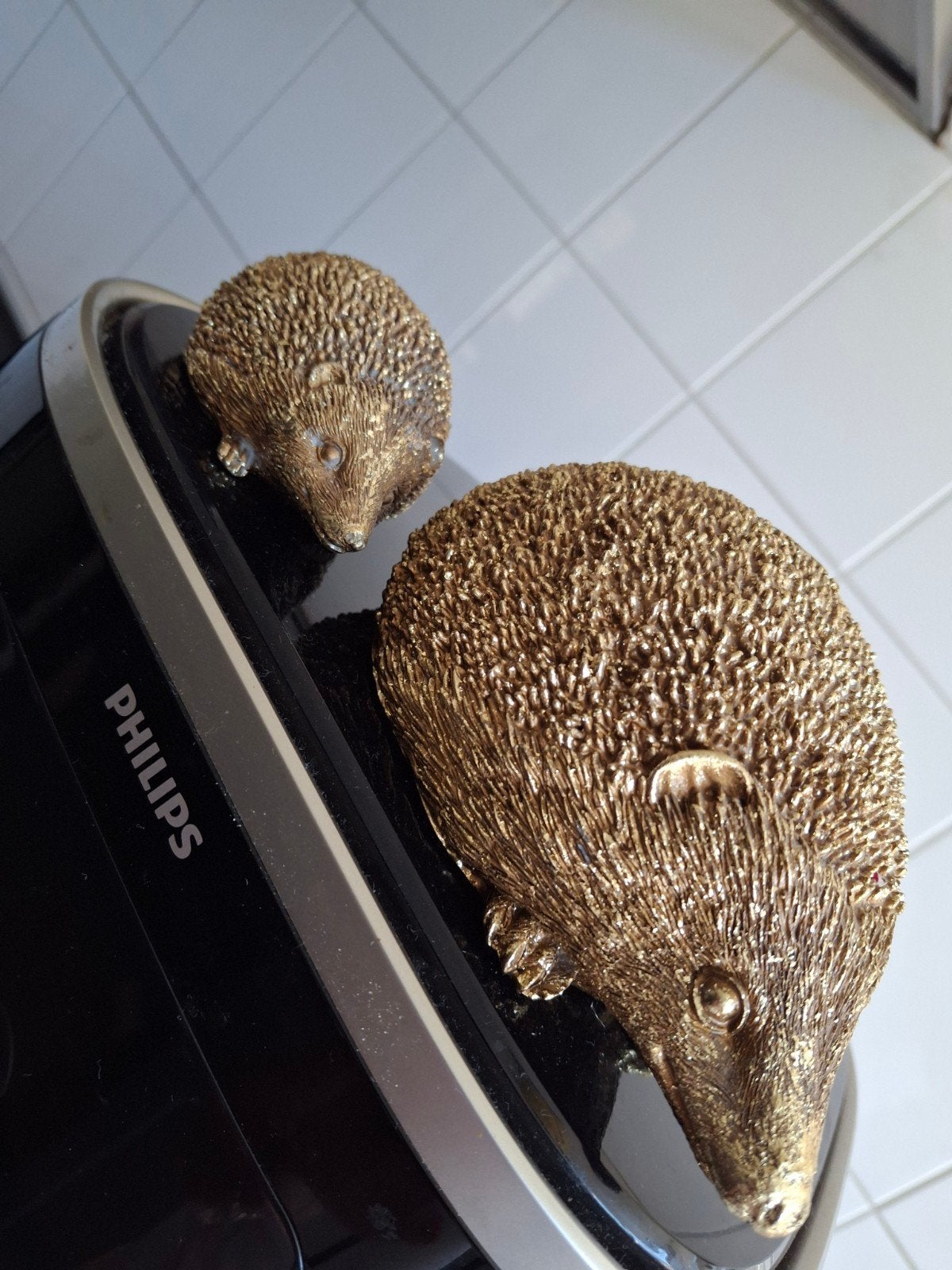 Prachtige goudkleurige egels, Ophalen of Verzenden, Zo goed als nieuw, Dier