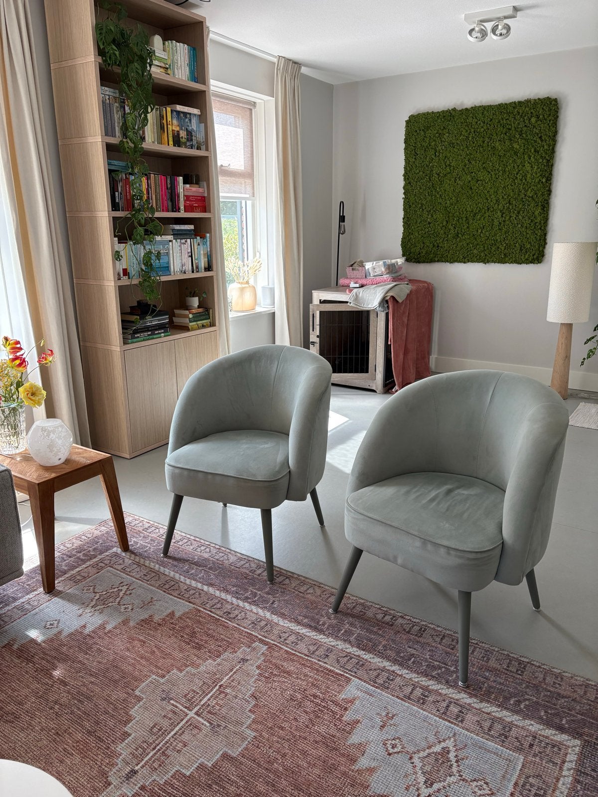 Set van 2 fluwelen fauteuils - Lichtgroen/Grijs, Ophalen, Twee, Overige kleuren, Zo goed als nieuw