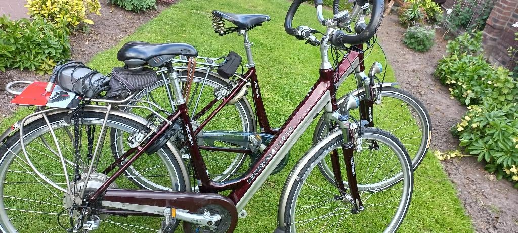 koga e bike doet 120km, Overige merken, Ophalen of Verzenden, Zo goed als nieuw, 47 tot 51 cm