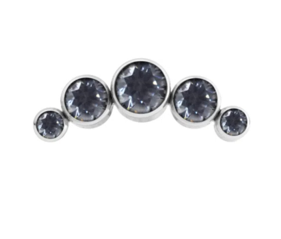 Titanium cluster met Swarovski Kristallen, Ophalen of Verzenden, Nieuw, Overige materialen, Oor- of Traguspiercing