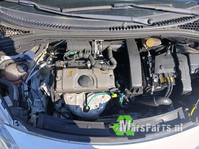 Brandstofpomp Elektrisch van een Citroen C3, Gebruikt, -, Ophalen of Verzenden, -