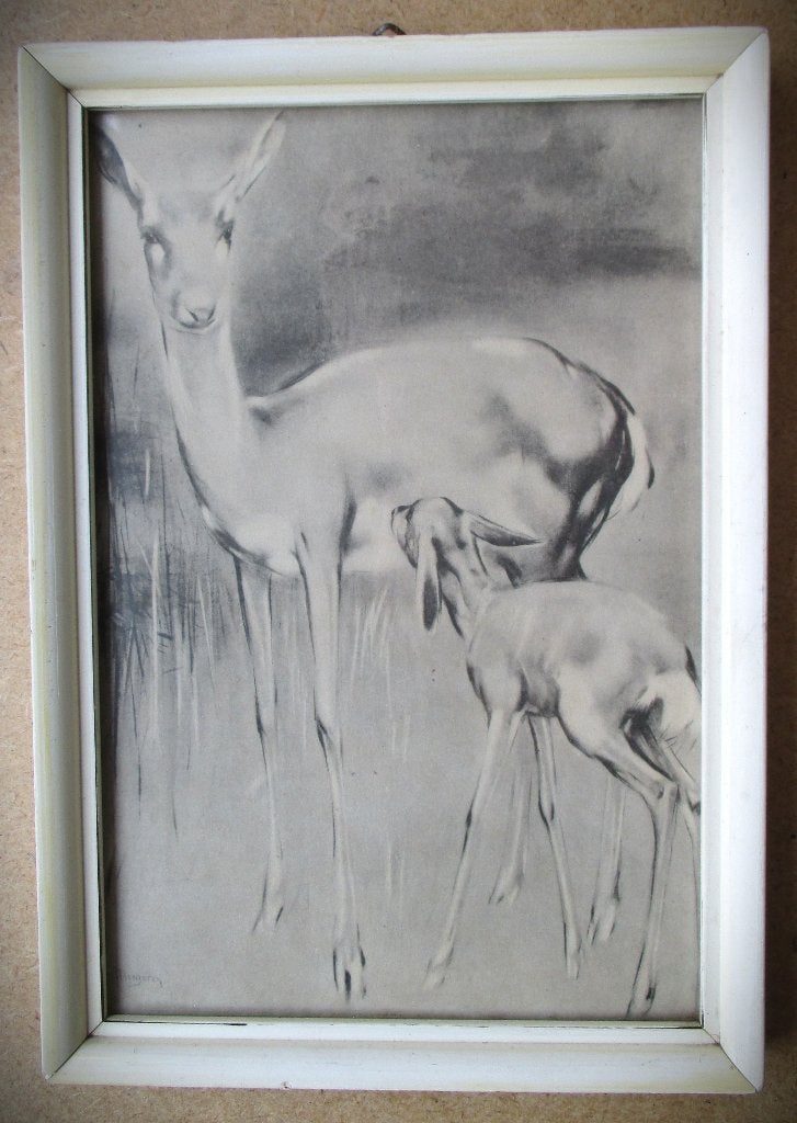 Hert met Jong~Han van Meegeren~Hertje~voor 1940, Ophalen of Verzenden