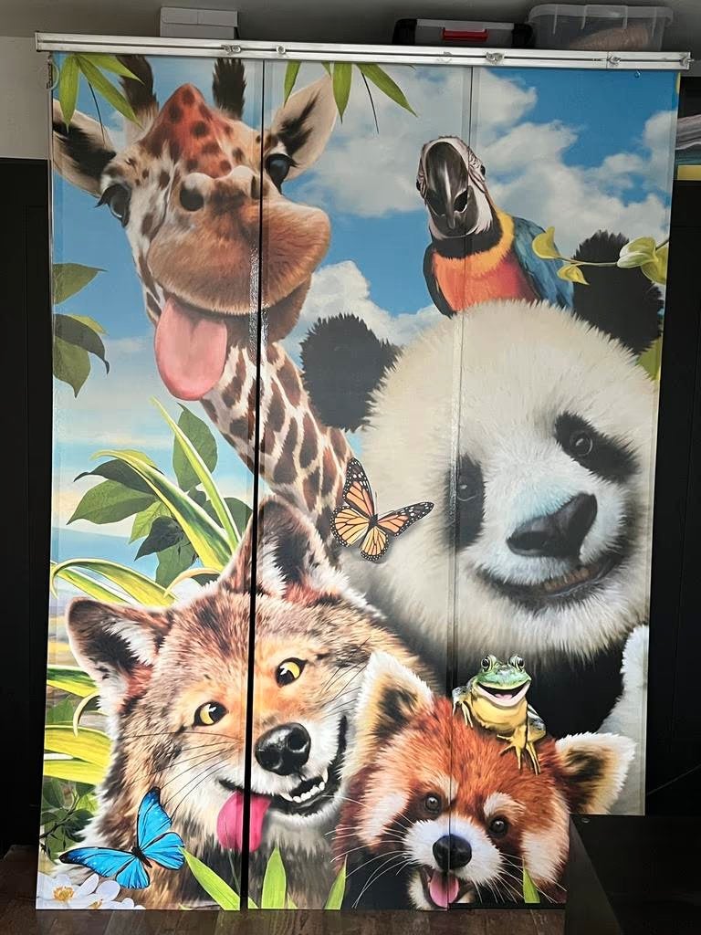 🔺 Kamerscherm - Room divider - Jungle, Kinderen en Baby's, Kinderkamer | Inrichting en Decoratie, Ophalen, Gebruikt, Wanddecoratie