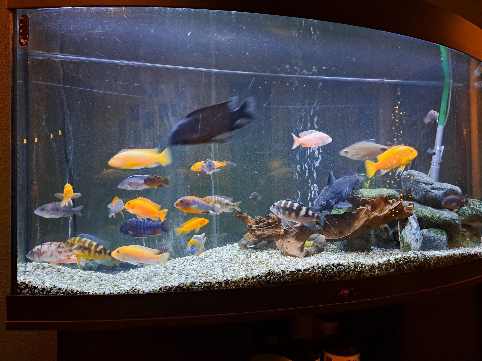 Juwel vision 360, Dieren en Toebehoren, Vissen | Aquaria en Toebehoren, Ophalen, Gebruikt, Inclusief deksel, Leeg aquarium