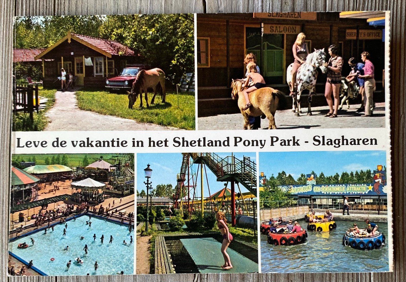 Ansichtkaart Shetland Pony Park Slagharen, Ophalen of Verzenden, 1960 tot 1980, Ongelopen, Overijssel