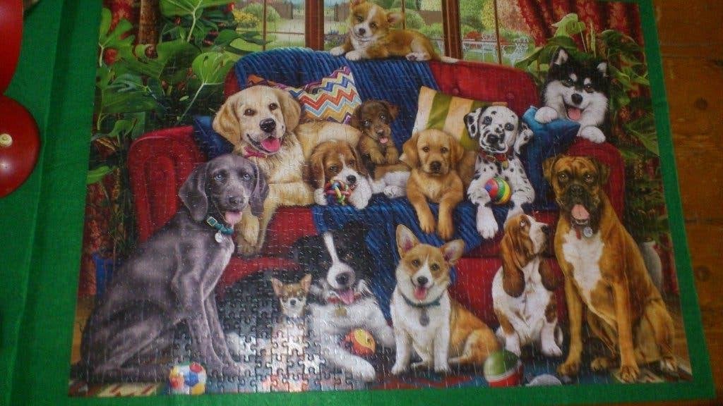 Dogs on the Bench - Honden op de Bank - 1000 stukjes, Ophalen, 500 t/m 1500 stukjes, Zo goed als nieuw, Legpuzzel