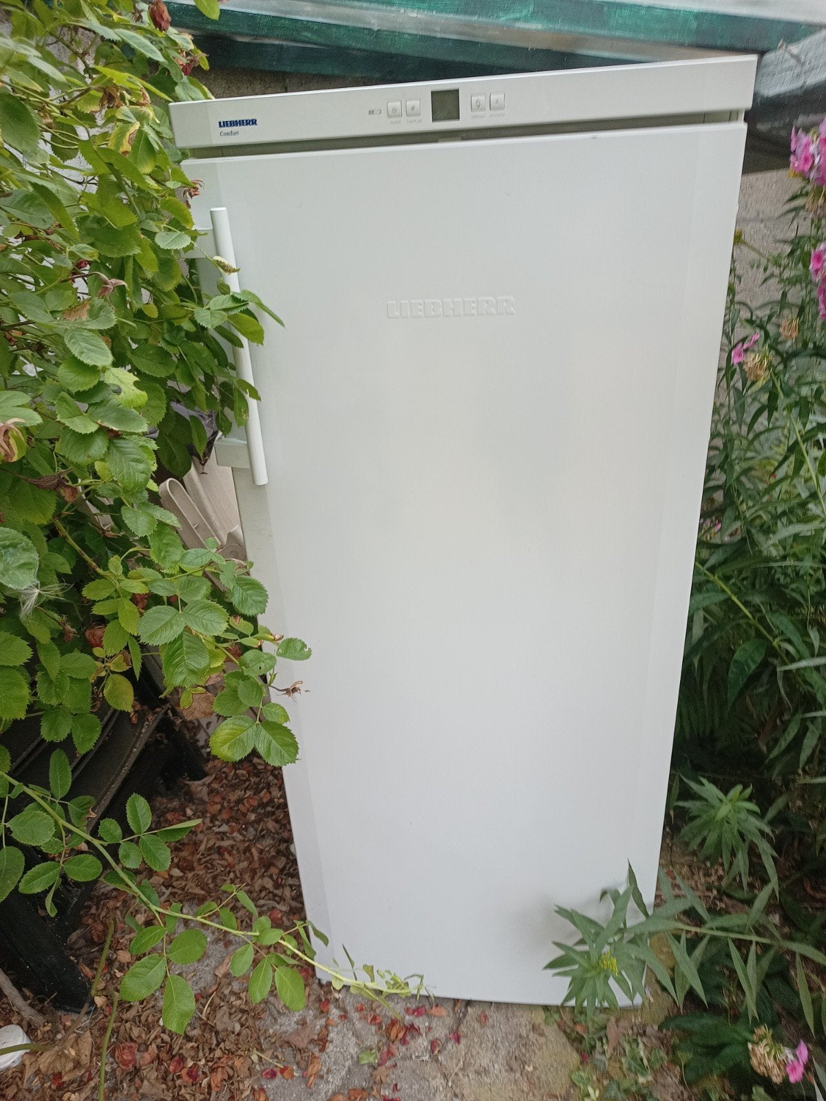 Liebherr Comfort koelkast, Zonder vriesvak, 200 liter of meer, Ophalen of Verzenden, Zo goed als nieuw