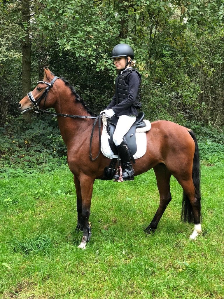 Sportpony grote C, Dieren en Toebehoren, Pony's, Merrie, Dressuurpony, Zadelmak, C pony (1.27m tot 1.37m)