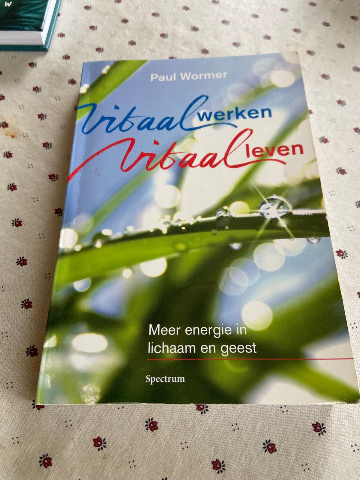 Vitaal leven en werken Paul Wormer, Ophalen of Verzenden, Zo goed als nieuw