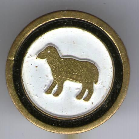 Zwarte Schapen koper voetbal club speldje ( Z_059 ), Verzamelen, Speldjes, Pins en Buttons, Verzenden, Nieuw, Sport, Speldje of Pin