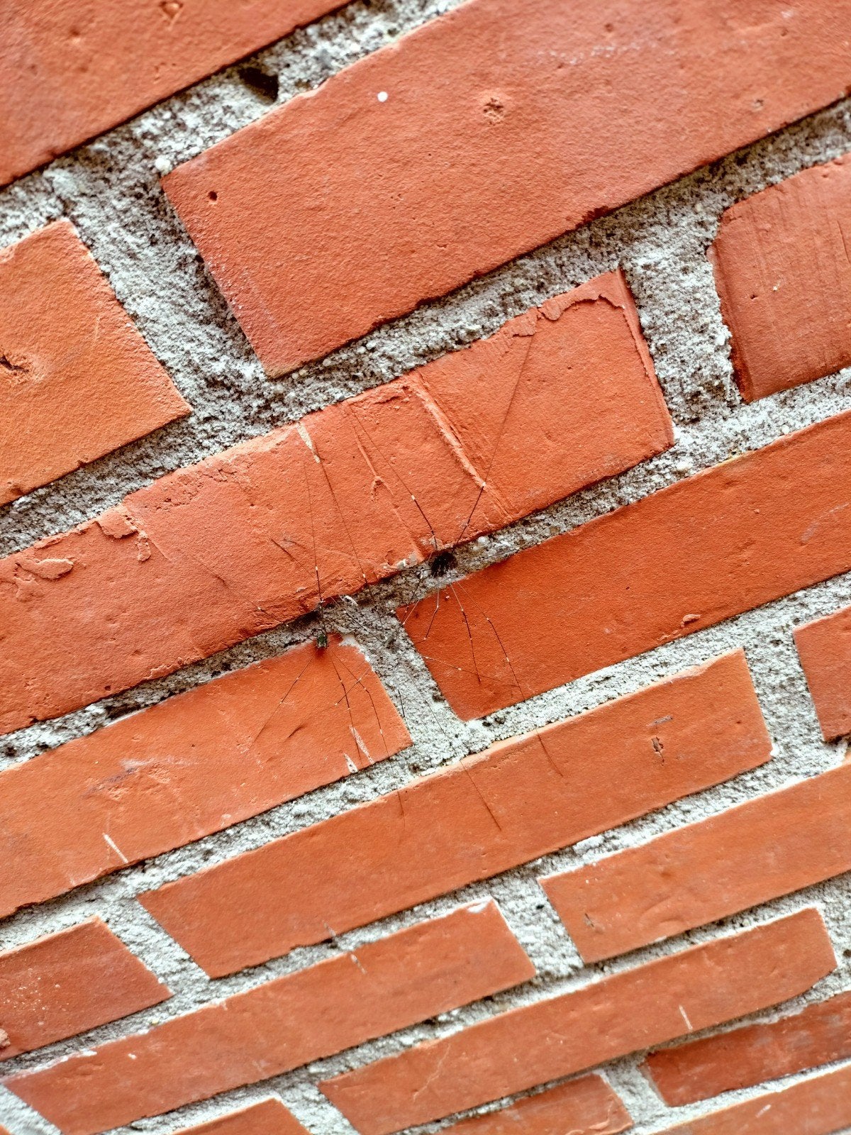 Rode bakstenen muur met voegwerk, Ophalen of Verzenden, Gebruikt, Bakstenen