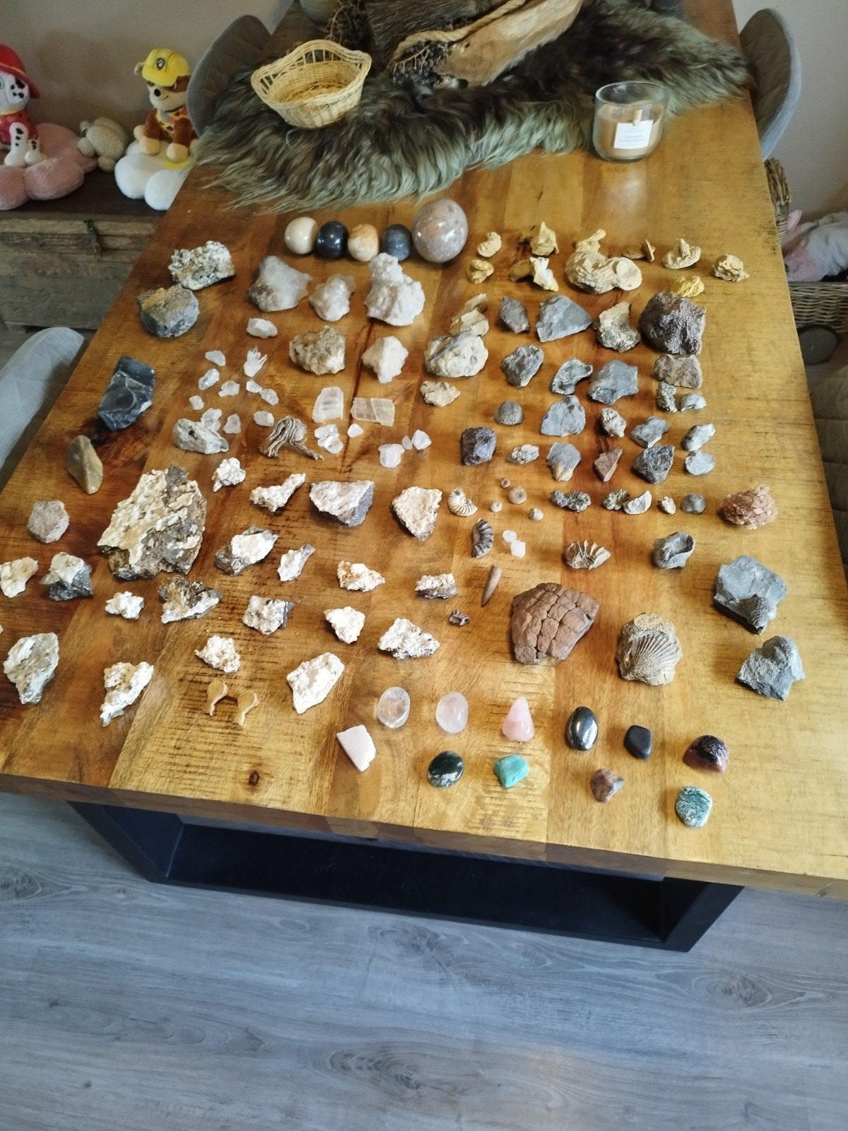 Grote verzameling mineralen, fossielen  uit nalatenschap, Verzamelen, Mineralen en Fossielen, Ophalen of Verzenden, Fossiel