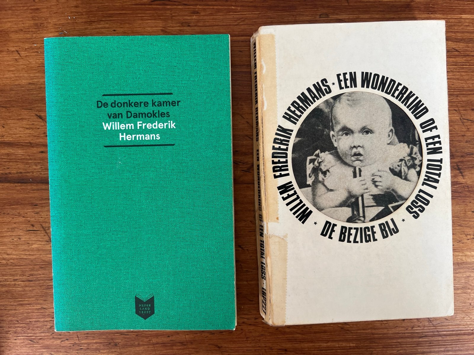 Willem Frederik Hermans: De donkere kamer van Damokles & Een, Boeken, Ophalen of Verzenden, Gelezen, Nederland