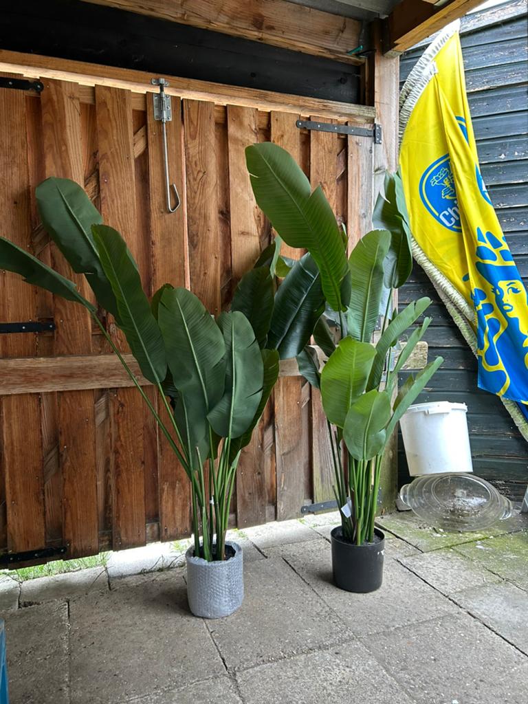 2 x strelitzia kunstplant 165 cm hoog. Nieuw!, Ophalen of Verzenden, Zo goed als nieuw