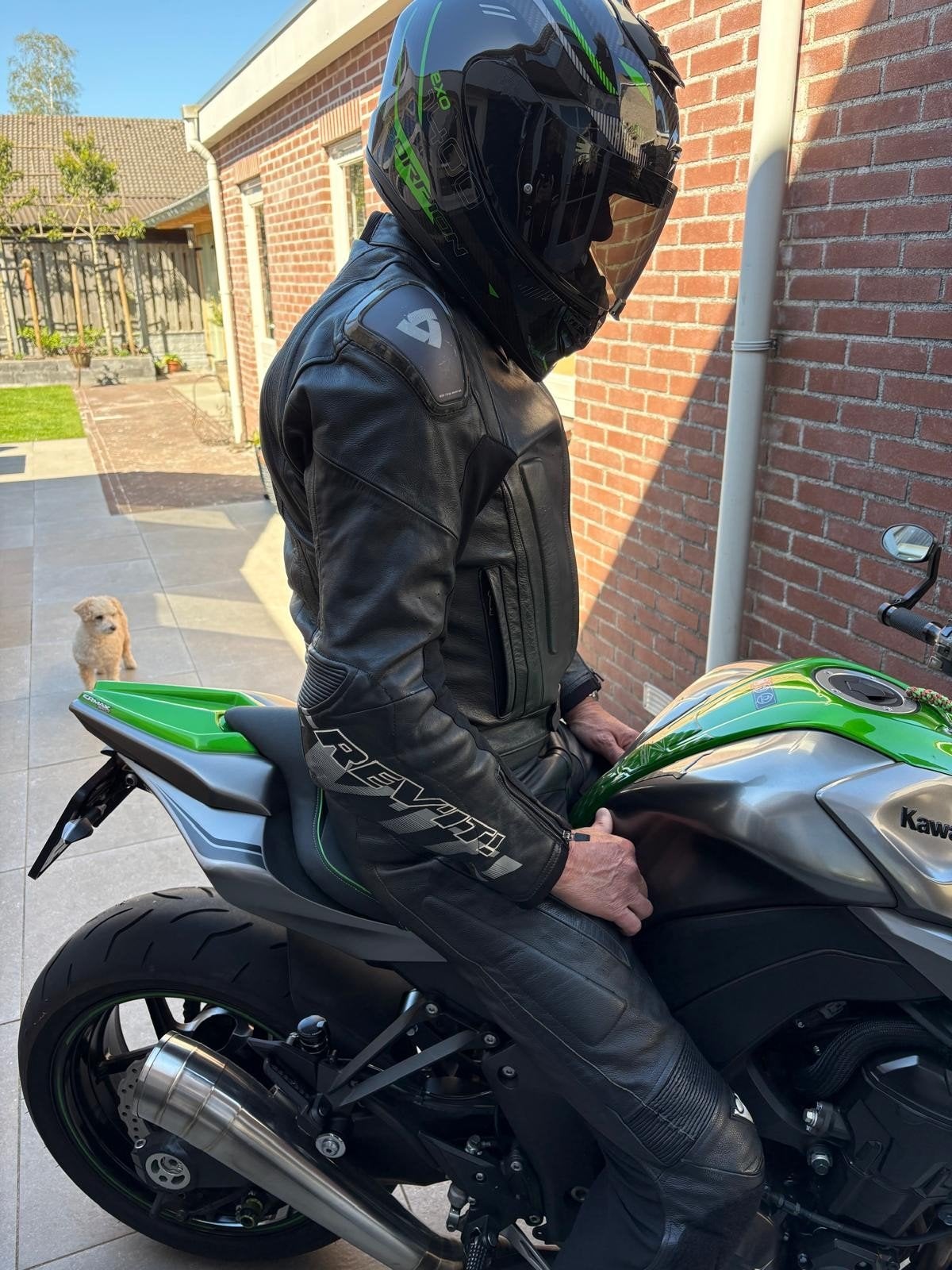 Sportieve Revit leren motorjas maat 54 heren, Motoren, Kleding | Motorkleding, REV'IT!, Heren, Jas | leer, Ophalen of Verzenden