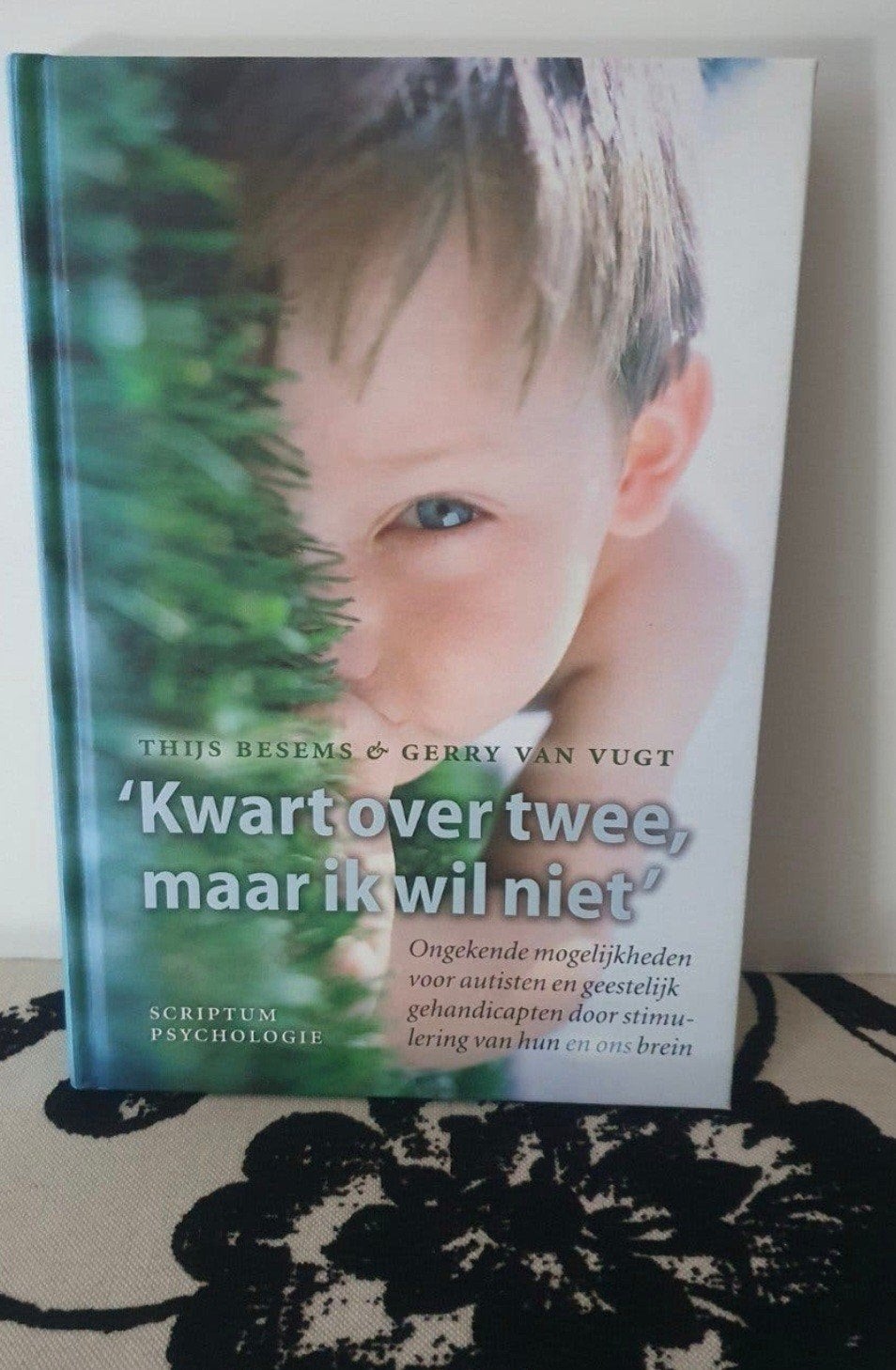 Kwart over twee, maar ik wil niet - T. Besems & Gerry van V, Ophalen of Verzenden, Zo goed als nieuw, Thijs Besems & Gerry van Vugt