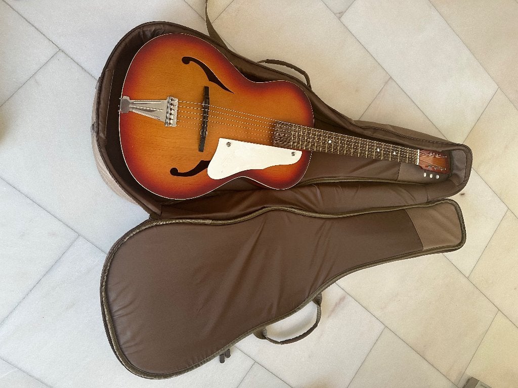 Gitaar met hoes, Ophalen of Verzenden, Gebruikt, Overige typen