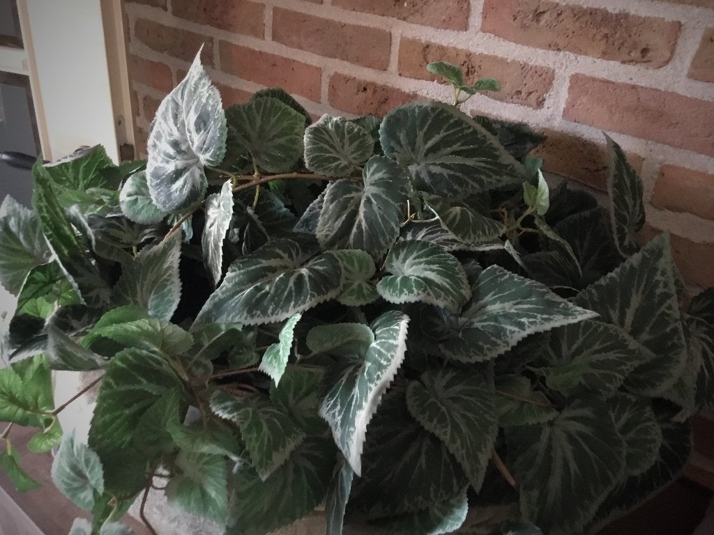 4 x intratuin kunstplanten Nieuw, Ophalen of Verzenden, Overige soorten, Halfschaduw, Minder dan 100 cm