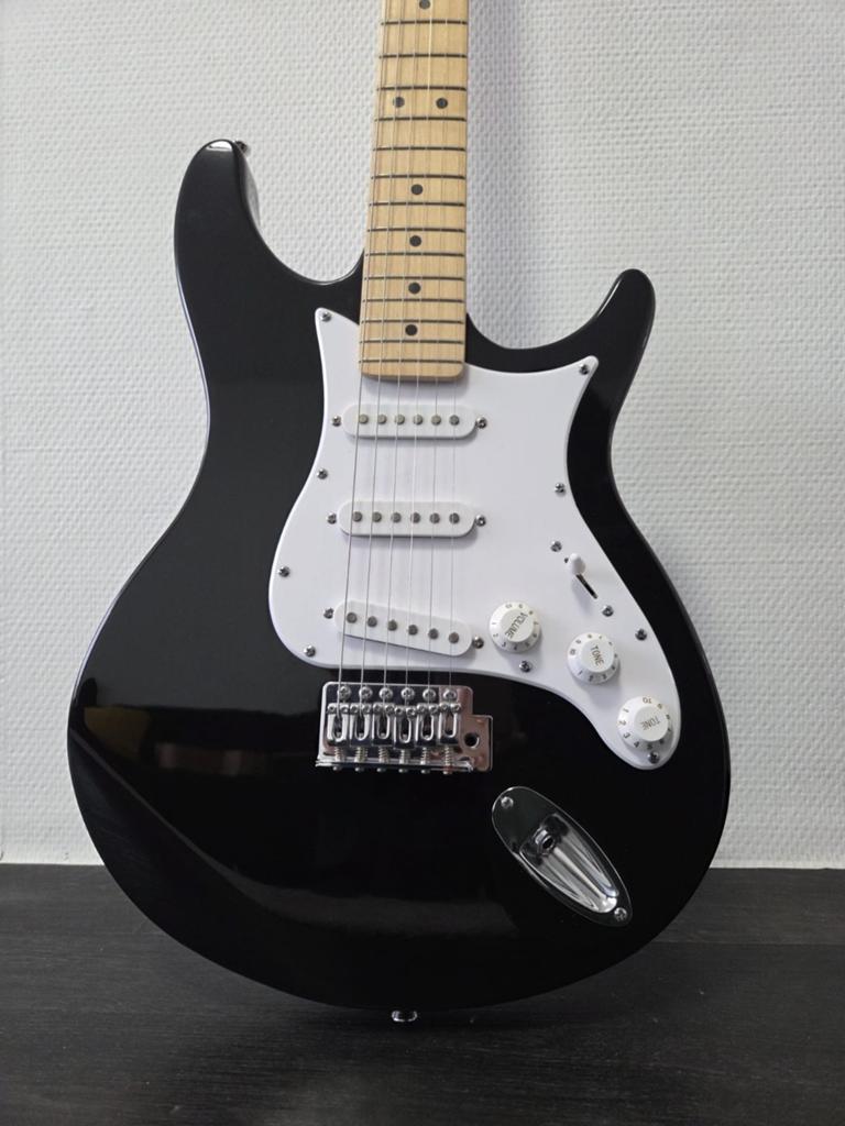 Elektrische gitaar, Boeken, Ophalen, Zo goed als nieuw, Artiest