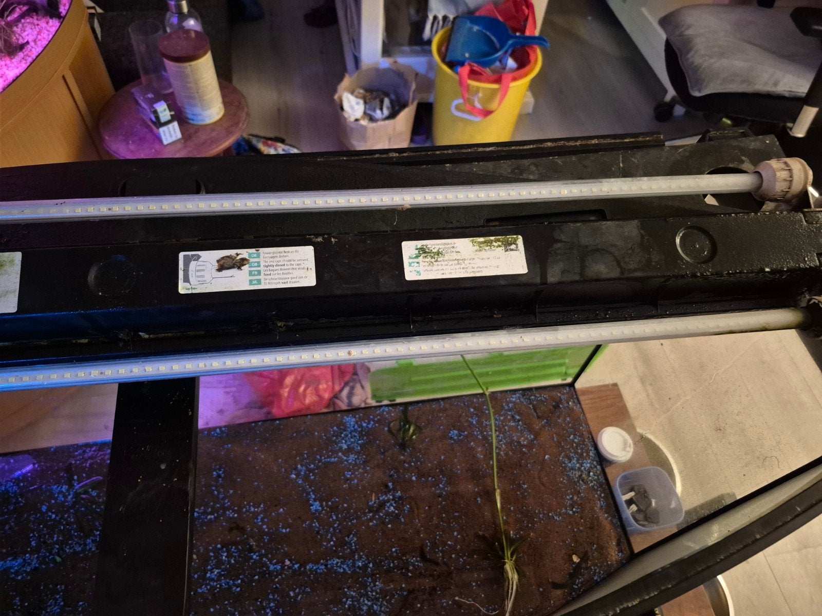 te koop juwel vision 260, Gebruikt, Gevuld zoetwateraquarium, Juwel, Ophalen