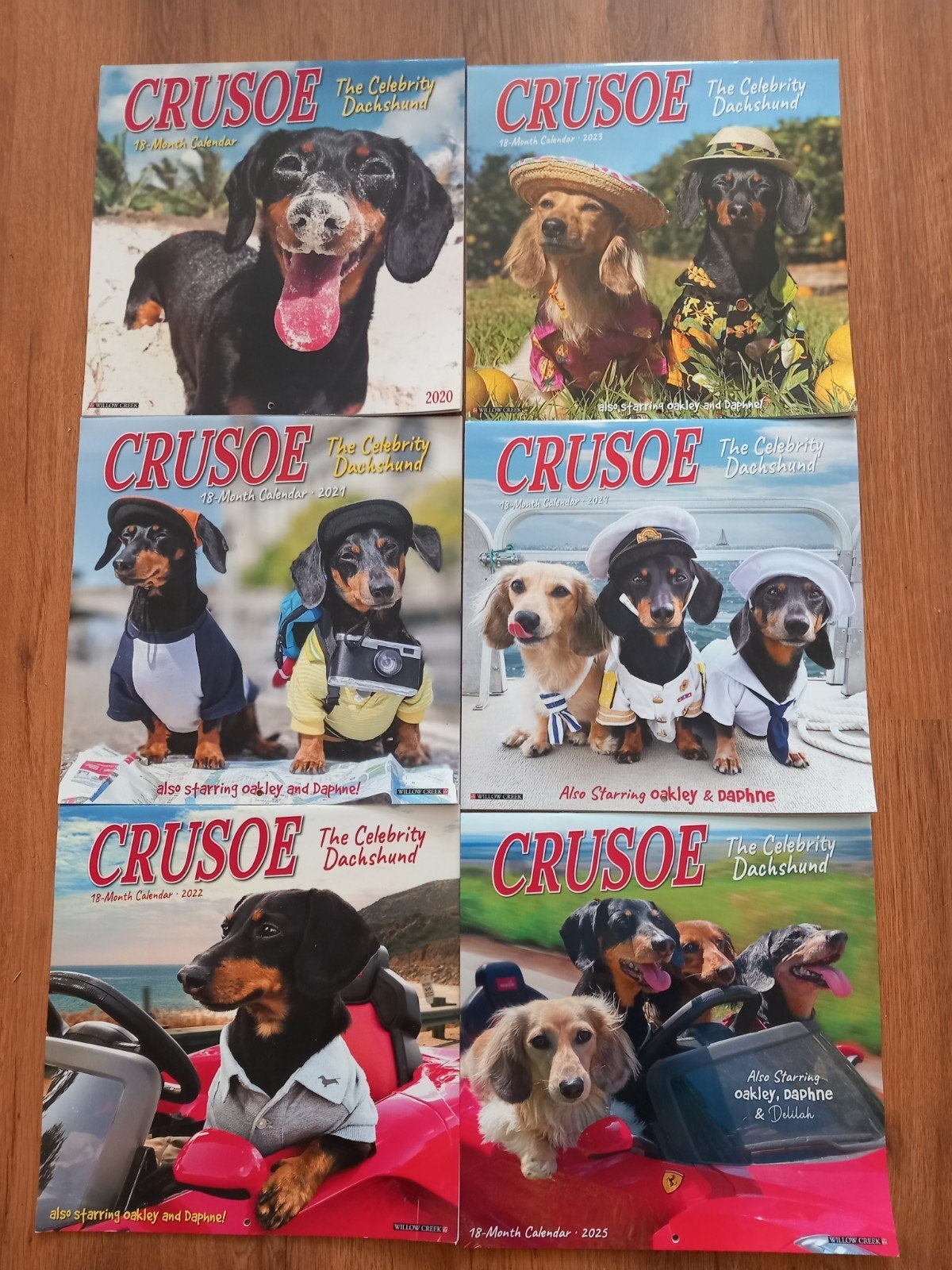 Crusoe the celebrity dachshund kalenders (Nijmegen oost), Ophalen of Verzenden, Maandkalender, Zo goed als nieuw