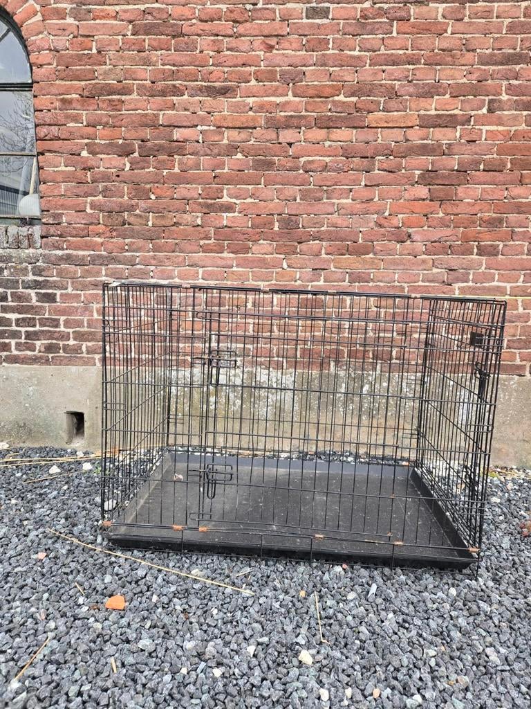 Grote hondenbench, Ophalen, Hond