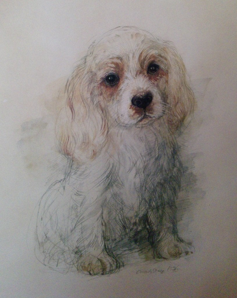 Prent Cocker Spaniel Puppy ( met lijst ), 1960 tot 1980, Nieuw, Ophalen of Verzenden, Dier