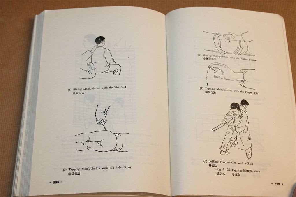 Chinese Massage Tui Na — Traditionele Geneeskunde [EN], Ophalen of Verzenden, Gelezen, Overige onderwerpen, Achtergrond en Informatie