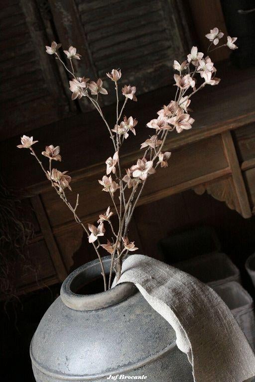 Brynxz cornus offwhite, Www.jufbrocante.nl, Www.jufbrocante.nl, Nieuw, Ophalen of Verzenden