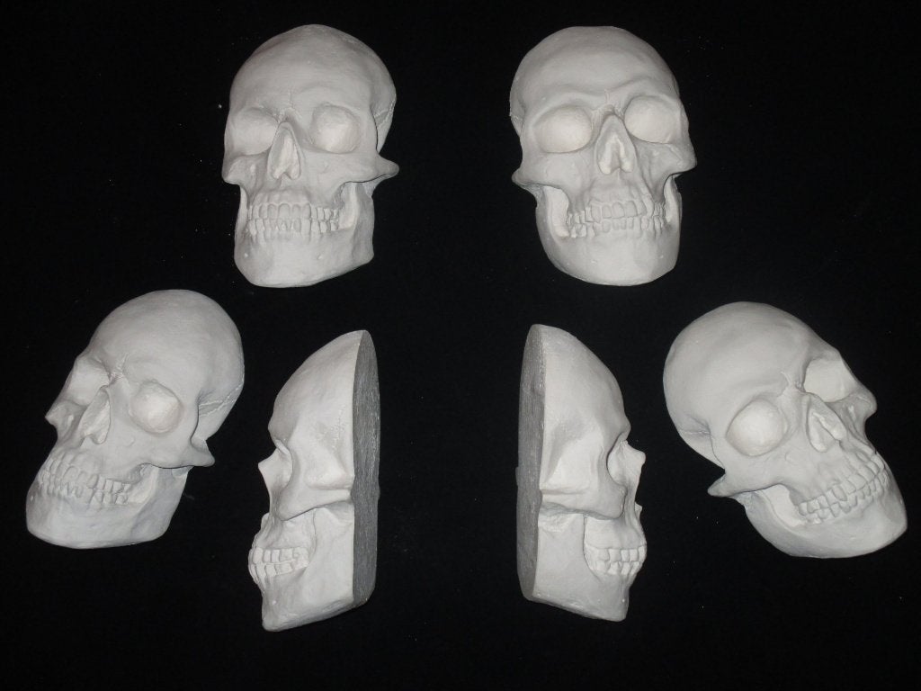 gipsen halve Schedels mens, platte Skull beschilderbaar gips, Ophalen of Verzenden, Nieuw, Decoratieobject