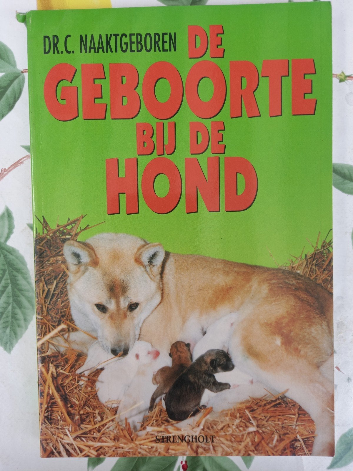 H De geboorte bij de hond en zijn wilde verwanten, Ophalen of Verzenden, Zo goed als nieuw, Paarden of Pony's, C. Naaktgeboren