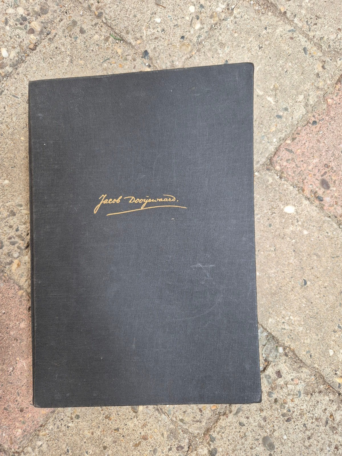 Jacob Dooijewaard en zijn werk - Kunstboek 1947, Ophalen of Verzenden, Gelezen, Schilder- en Tekenkunst, R.W.P. de Vries Jr.