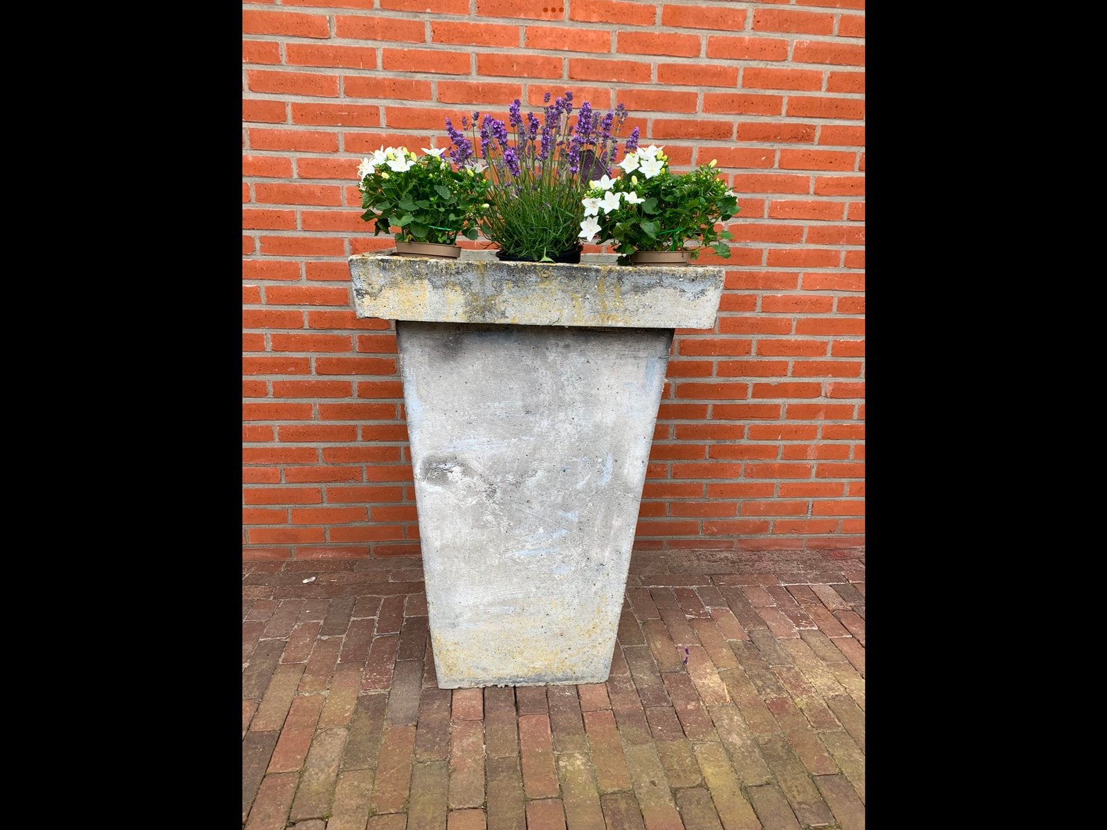 Bloemenbak, Ophalen, Gebruikt, Rond, Minder dan 30 cm