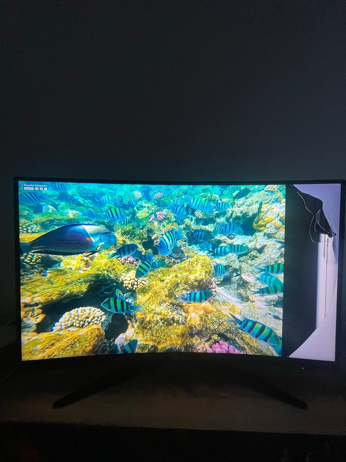 AOC C27G2ZU/BK Curved Gaming Monitor - Defect, Curved, VA, Full HD, Minder dan 1 ms