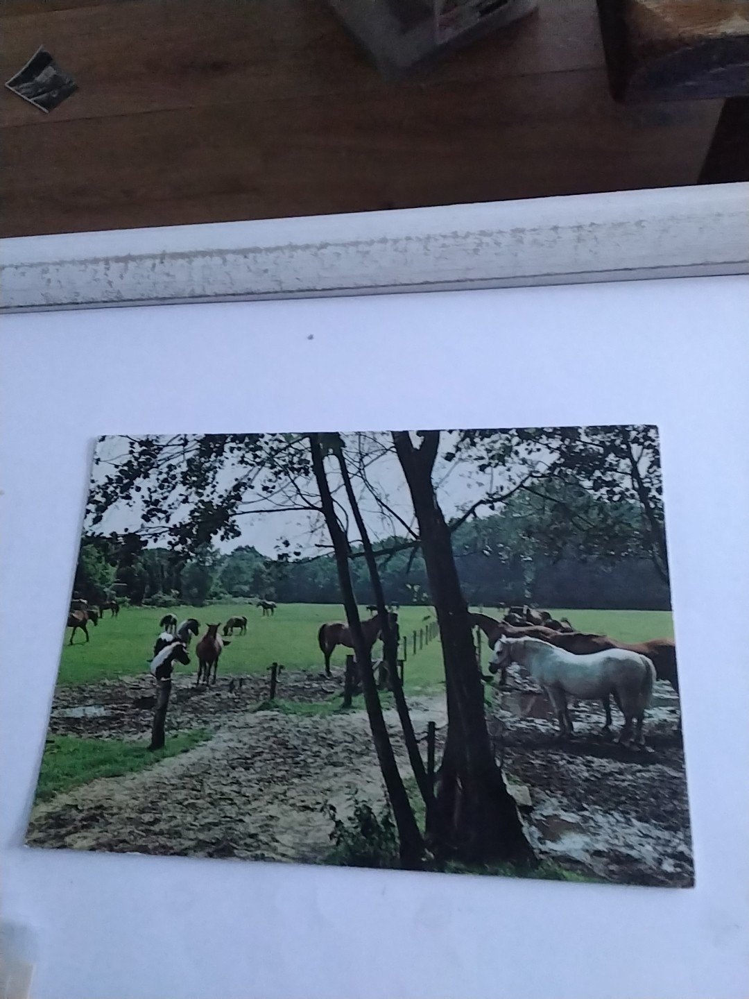 Ansichtkaart Stichting De Paardenkamp Soest, Ophalen of Verzenden, 1960 tot 1980, Ongelopen